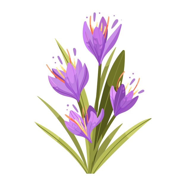 Hand getekende platte ontwerp saffraan illustratie