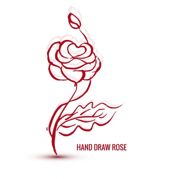 Gratis vector hand getekende roos