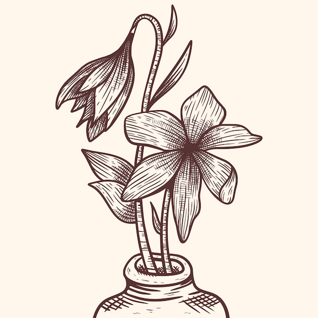 Hand getekende saffraan bloem illustratie