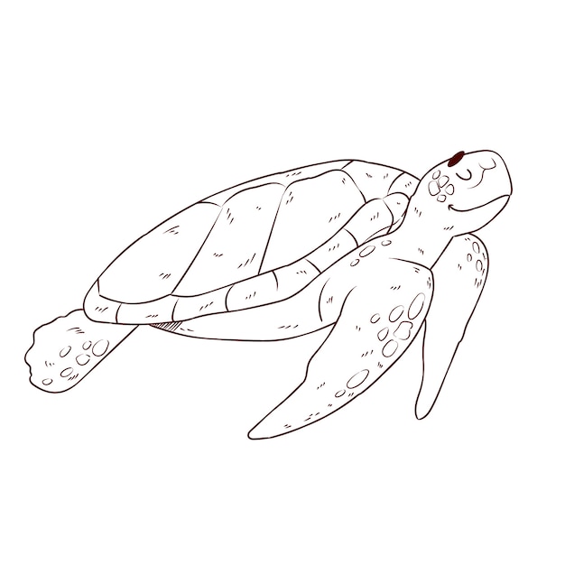 Gratis vector hand getekende schildpad schets illustratie