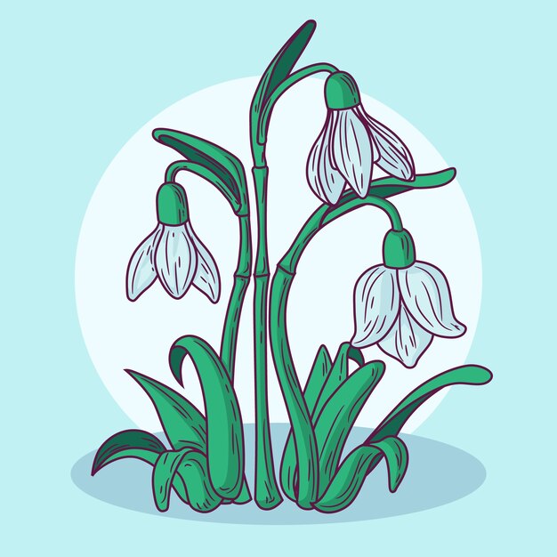 Hand getekende sneeuwklokje illustratie