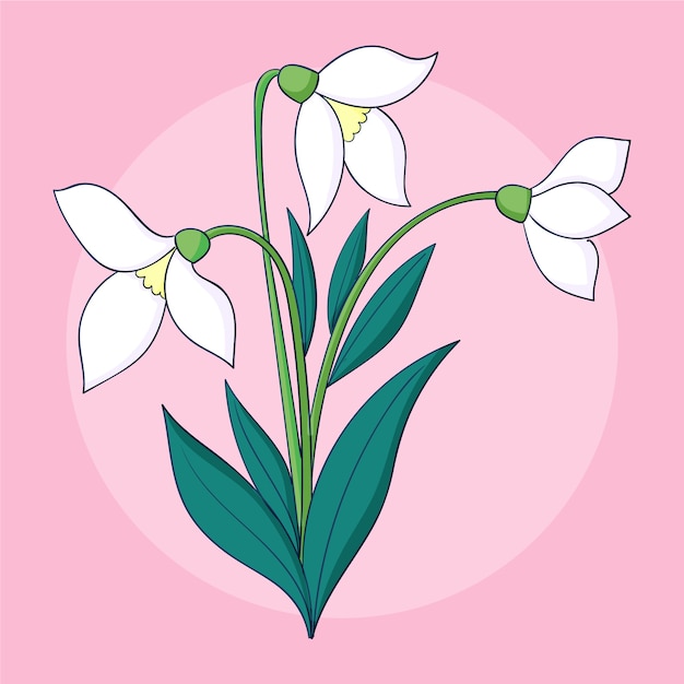 Gratis vector hand getekende sneeuwklokje plant illustratie