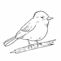Gratis vector hand getekende vogel schets illustratie