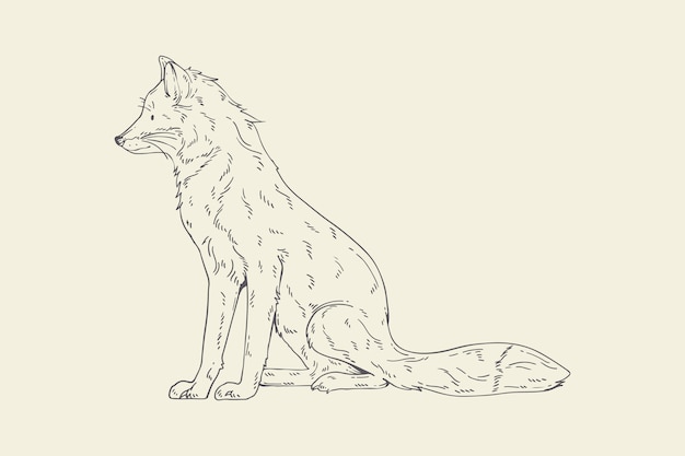 Gratis vector hand getekende wolf schets illustratie