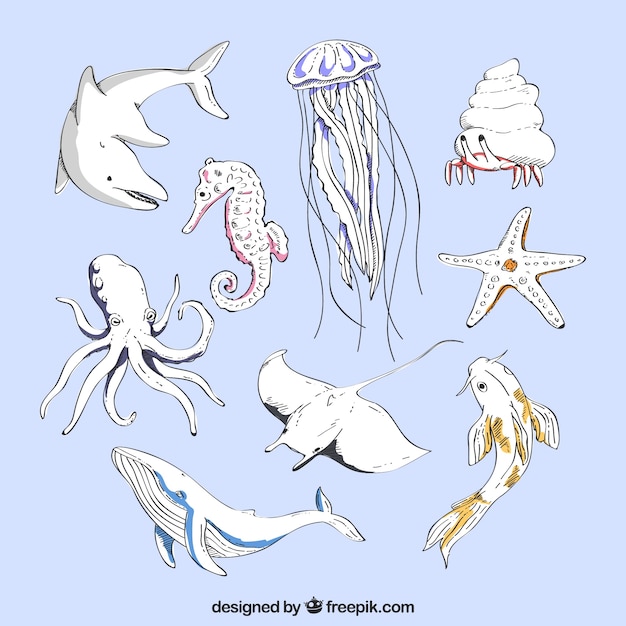 Gratis vector hand getekende zeedieren collectie