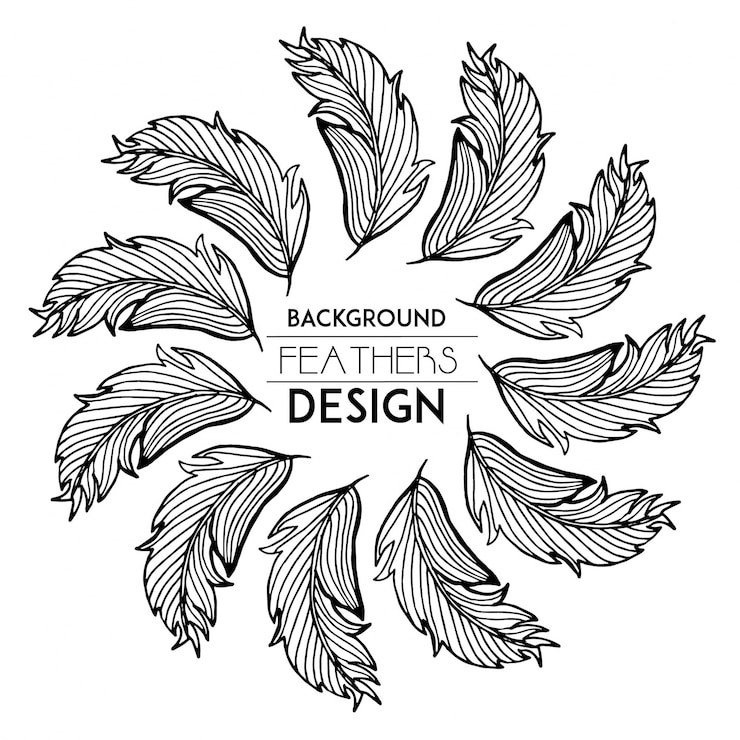 Gratis Vector hand getekende zwart-witte veren ring