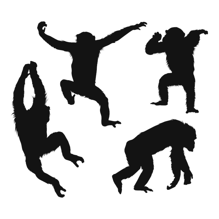 Gratis Vector hand getrokken aap silhouet