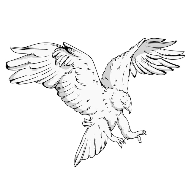Hand getrokken adelaar vliegende tekening illustratie