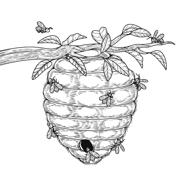 Hand getrokken bijenkorf tekening illustratie