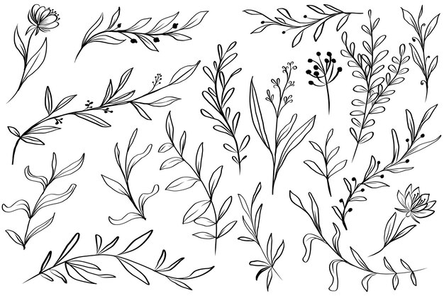 Hand getrokken bladeren bloemen geïsoleerde clipart