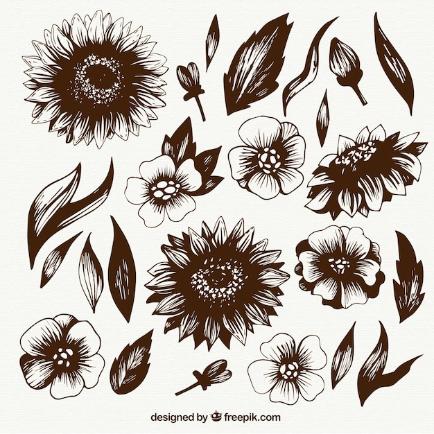 Gratis vector hand getrokken bloemen collectie