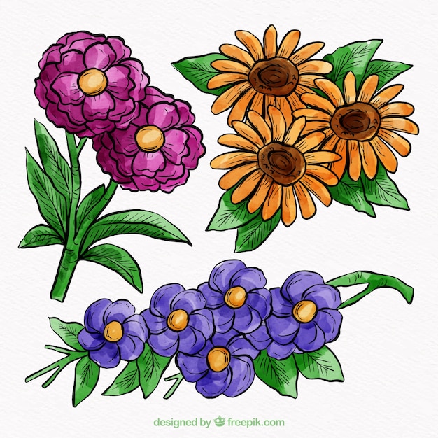 Gratis vector hand getrokken bloemen set