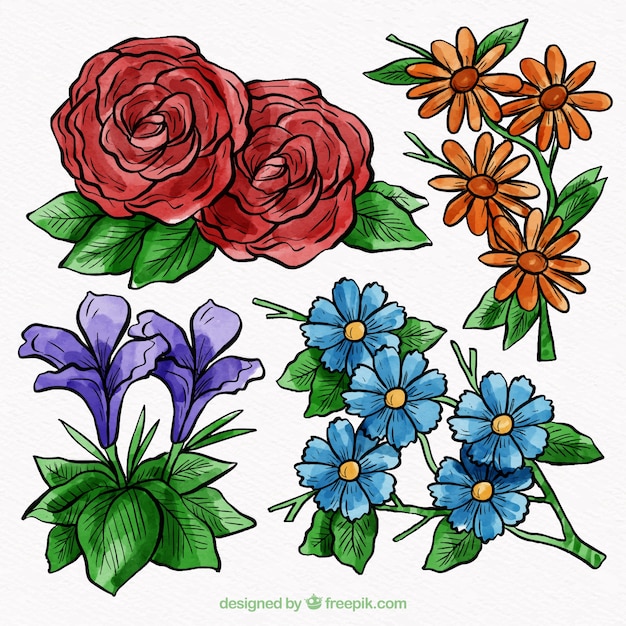 Gratis vector hand getrokken bloemen set