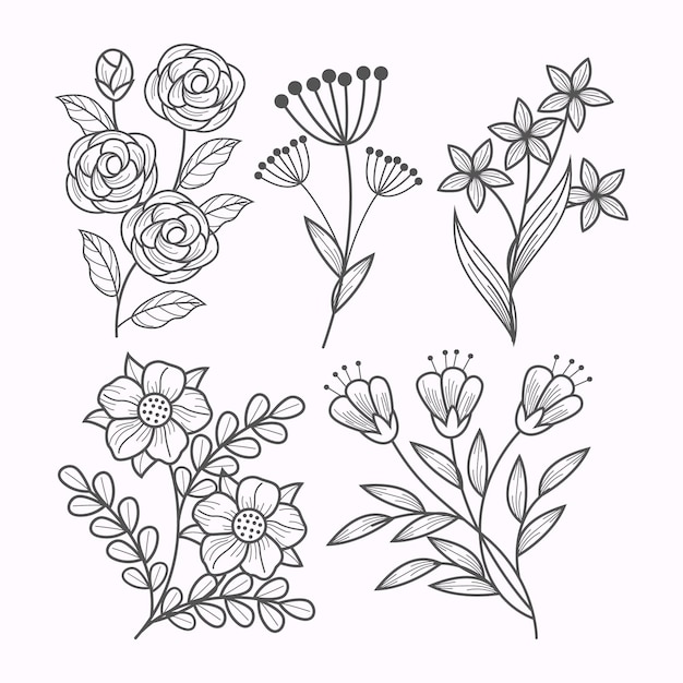 Gratis vector hand getrokken bloemencollectie