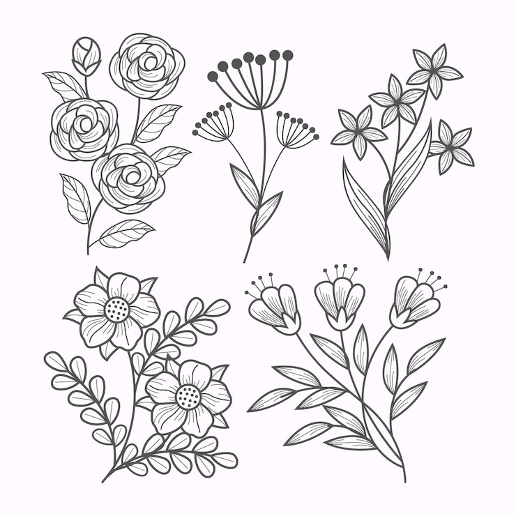 Gratis Vector hand getrokken bloemencollectie