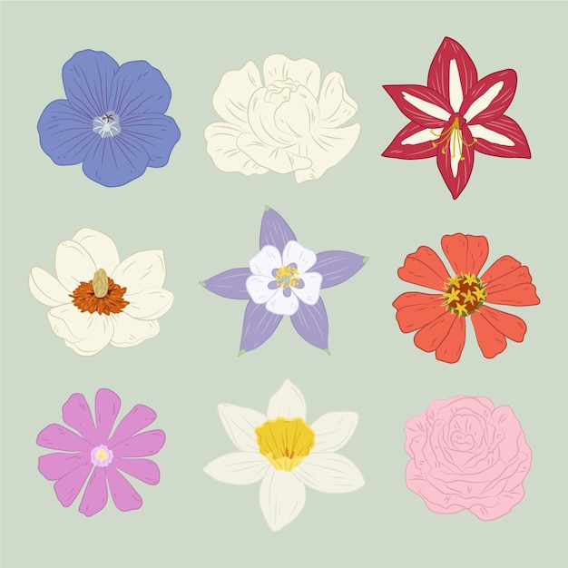 Gratis vector hand getrokken bloemencollectie