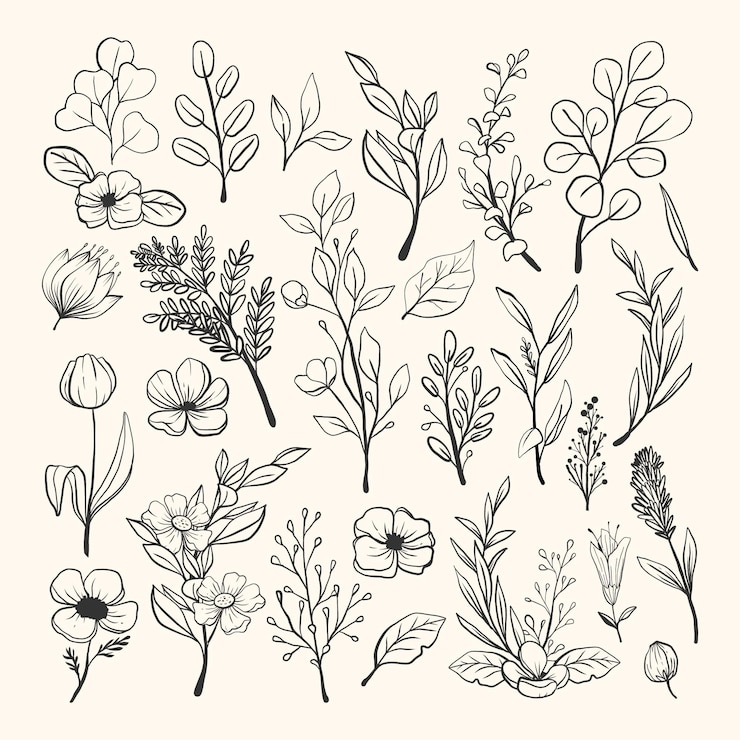 Gratis Vector hand getrokken bloemencollectie