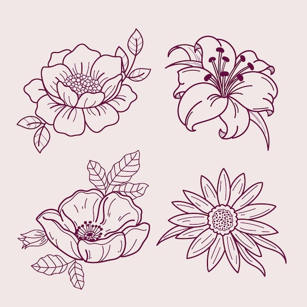 Gratis vector hand getrokken bloemencollectie