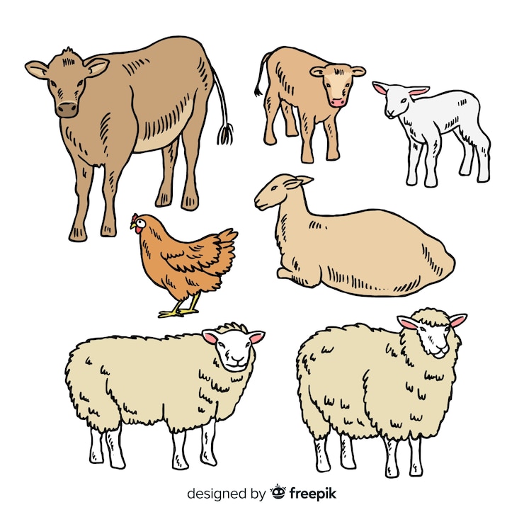 Gratis Vector hand getrokken boerderij dieren collectie