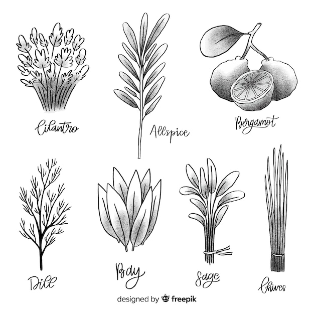 Gratis vector hand getrokken botanische collectie