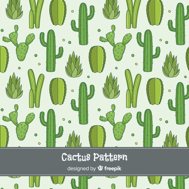 Hand getrokken cactus achtergrond