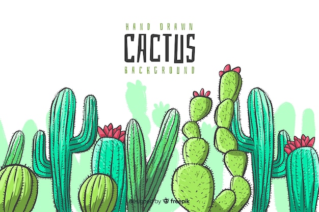 Hand getrokken cactus achtergrond