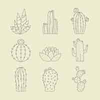 Gratis vector hand getrokken cactus schets illustratie