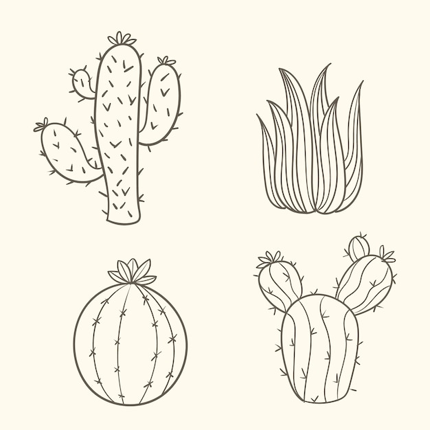 Gratis vector hand getrokken cactus schets illustratie