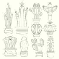 Gratis vector hand getrokken cactus tekening illustratie