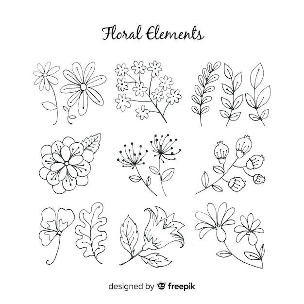 Hand getrokken florale decoratie-elementen