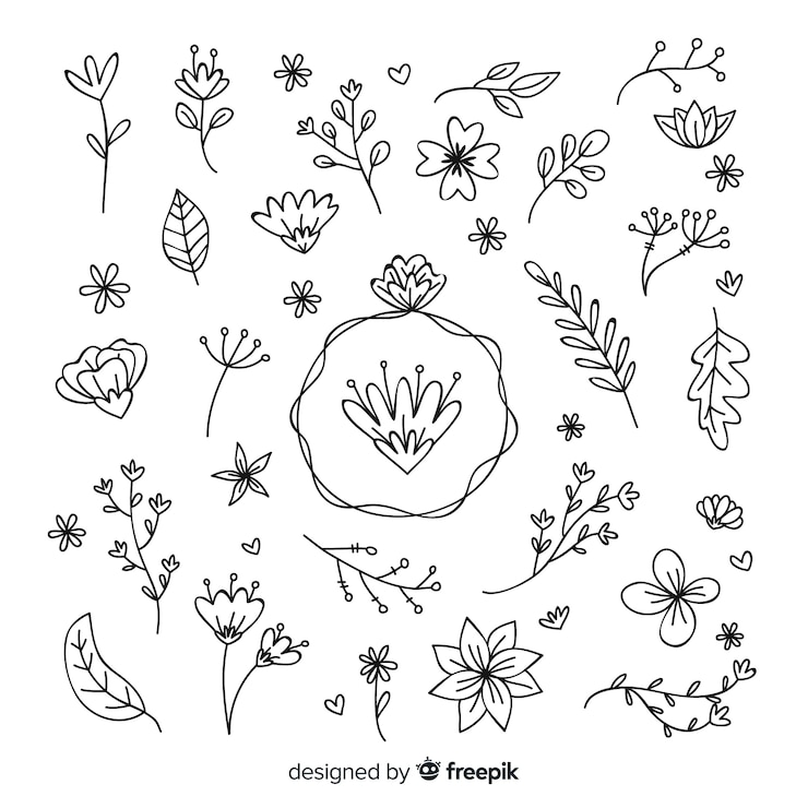 Gratis Vector hand getrokken florale decoratie-elementen