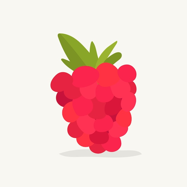 Gratis vector hand getrokken frambozen fruit illustratie