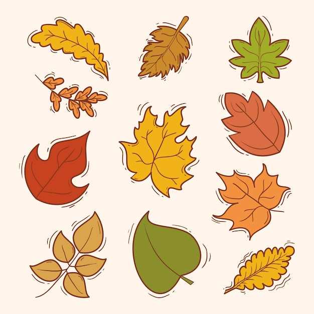 Gratis vector hand getrokken herfstbladeren collectie