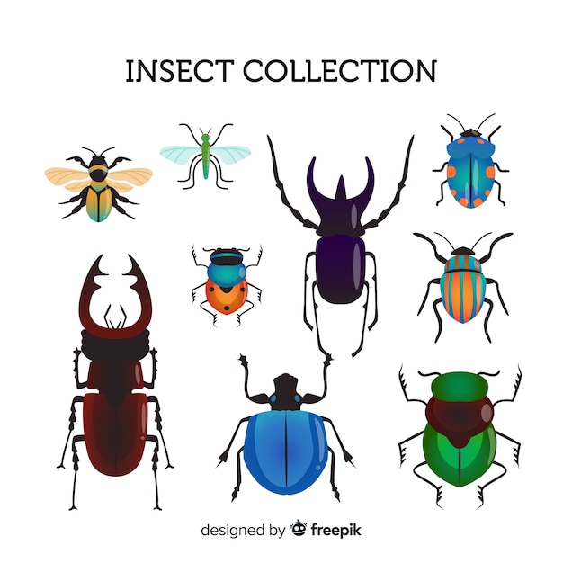 Gratis vector hand getrokken insecten pack