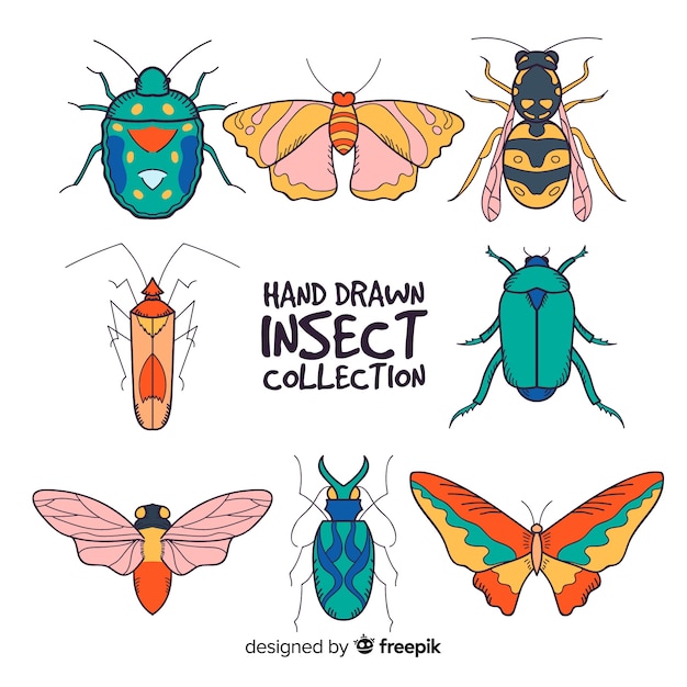 Gratis vector hand getrokken insectencollectie