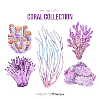 Hand getrokken kleurrijke koraal collectie