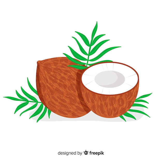 Hand getrokken kokosnoot achtergrond