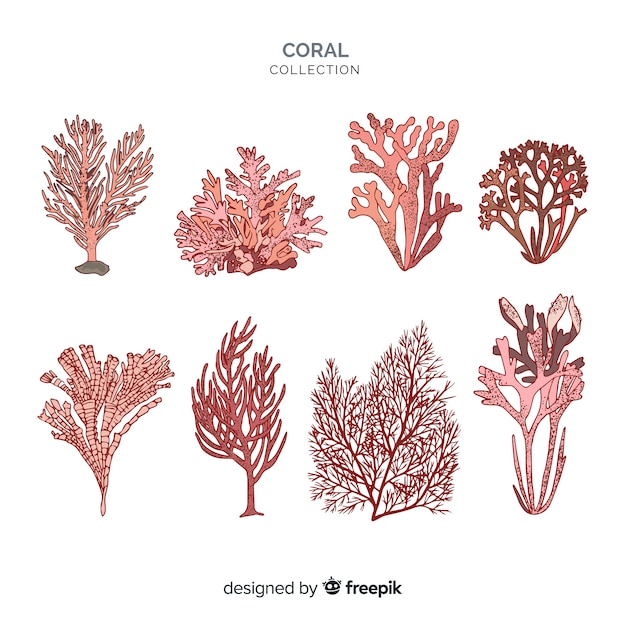 Gratis vector hand getrokken koraal collectie