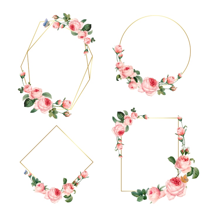 Gratis Vector hand getrokken lege roze rozen frames
