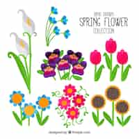 Gratis vector hand getrokken lente bloemen collectie