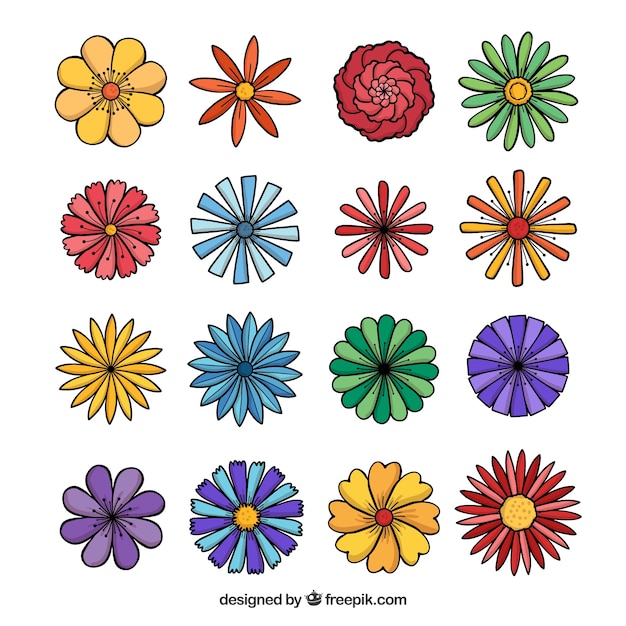 Gratis vector hand getrokken lente bloemen collectie