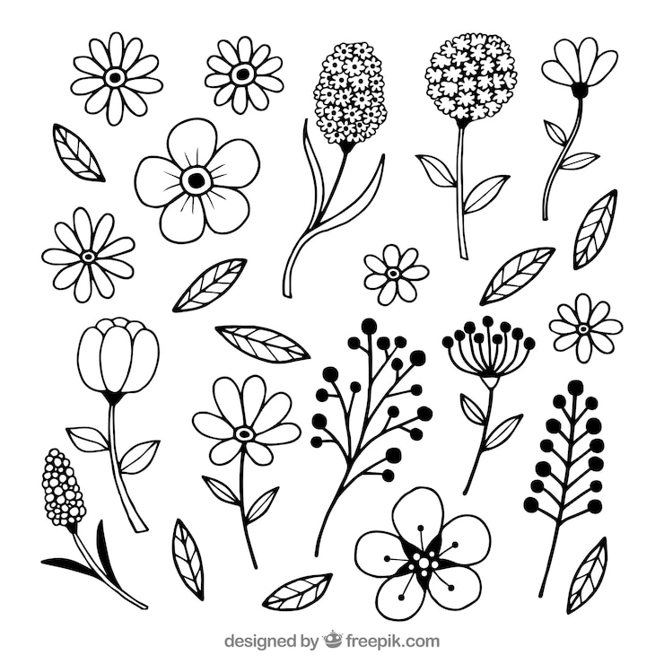 Gratis Vector hand getrokken lente bloemen set