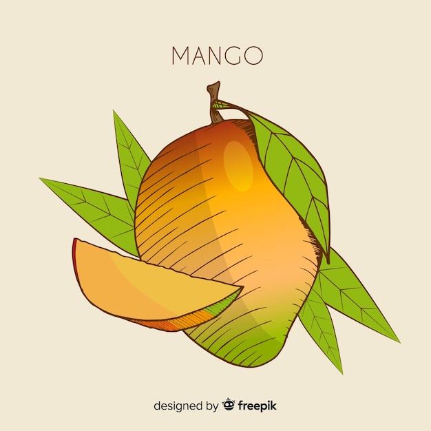 Hand getrokken mango illustratie