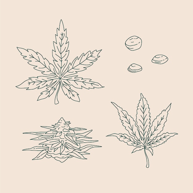 Hand getrokken marihuana blad schets illustratie