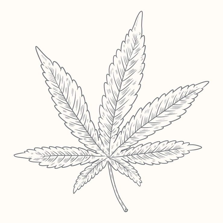 Gratis Vector hand getrokken marihuana blad schets illustratie