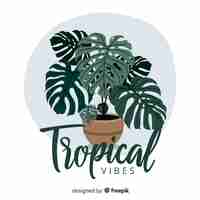 Gratis vector hand getrokken monstera achtergrond