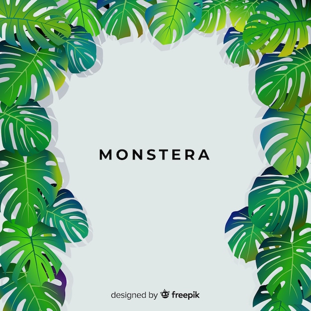 Hand getrokken monstera achtergrond