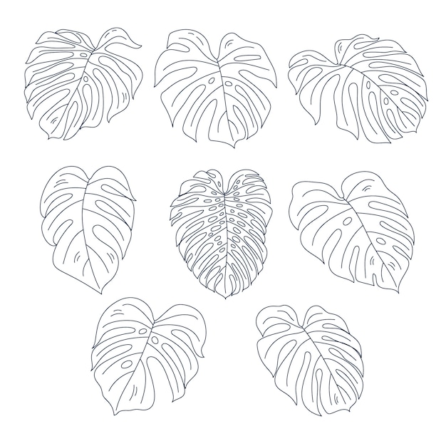 Gratis vector hand getrokken monstera blad illustratie