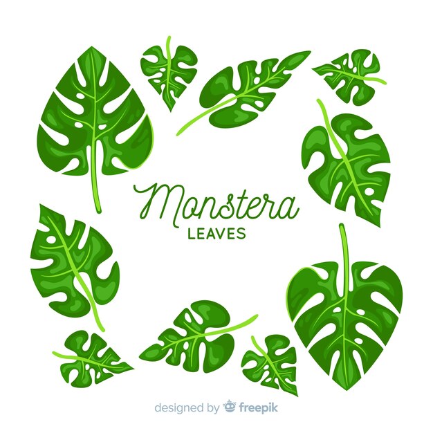 Hand getrokken monstera bladeren pack