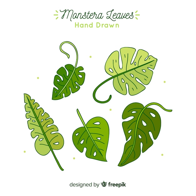 Hand getrokken monstera bladeren pack